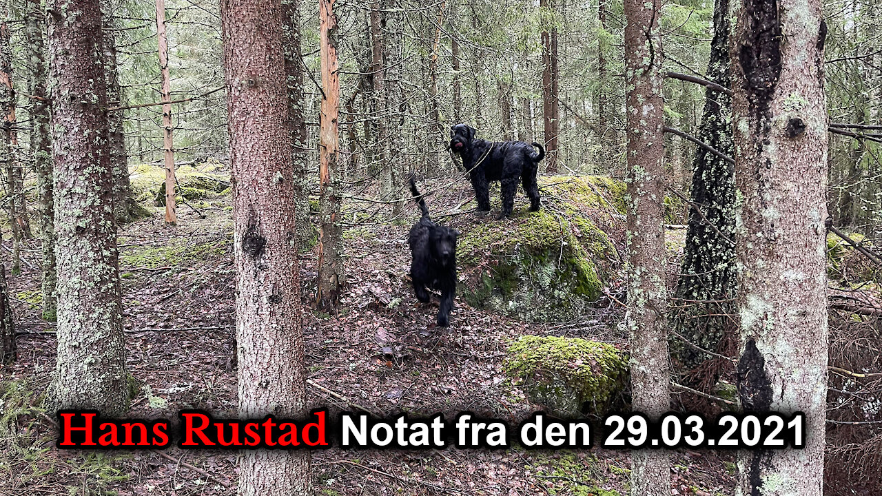 Hans Rustad notat fra 29.03.2021