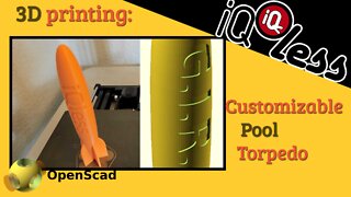 3D Printing: Customizable Pool Torpedo