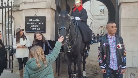 This horse wants to bite #horseguardsparade