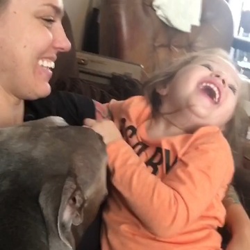 Cute Little Girl & a tired Pitbull