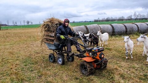 HAY Transporting with DIY Trailer