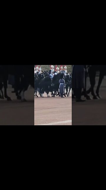 THE ROYALS IN CARRIAGES AND THE HOUSEHOLD CAVALRY #buckinghampalace