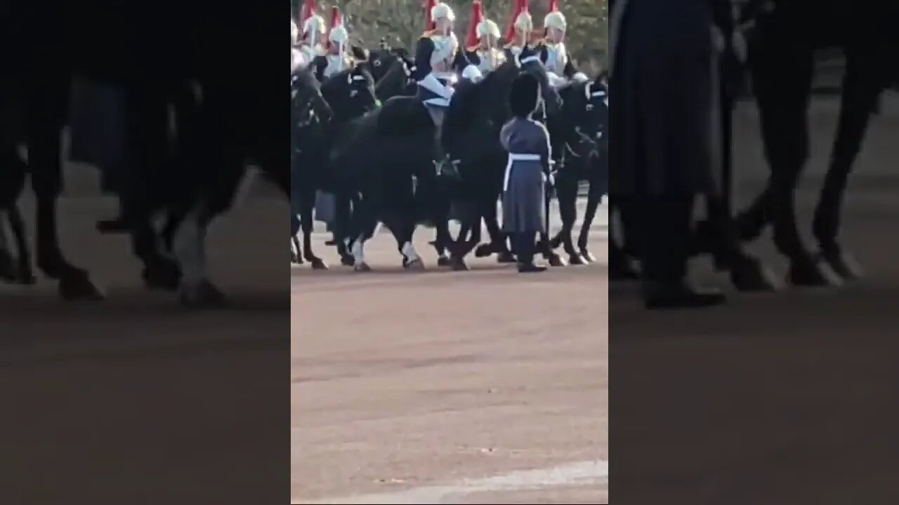 THE ROYALS IN CARRIAGES AND THE HOUSEHOLD CAVALRY #buckinghampalace