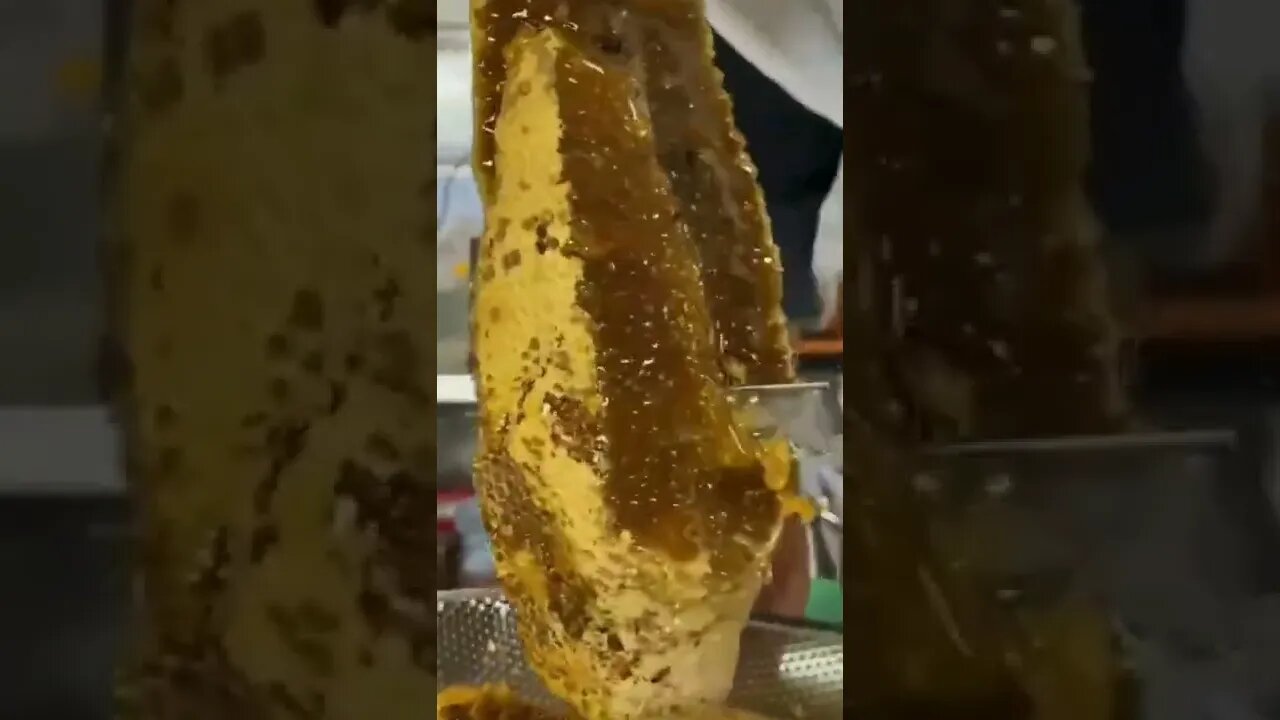 Honey Harvesting