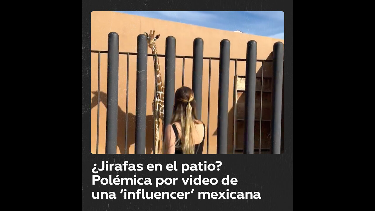 ‘Influencer’ mexicana presume jirafa en su patio y desata indignación en la Red