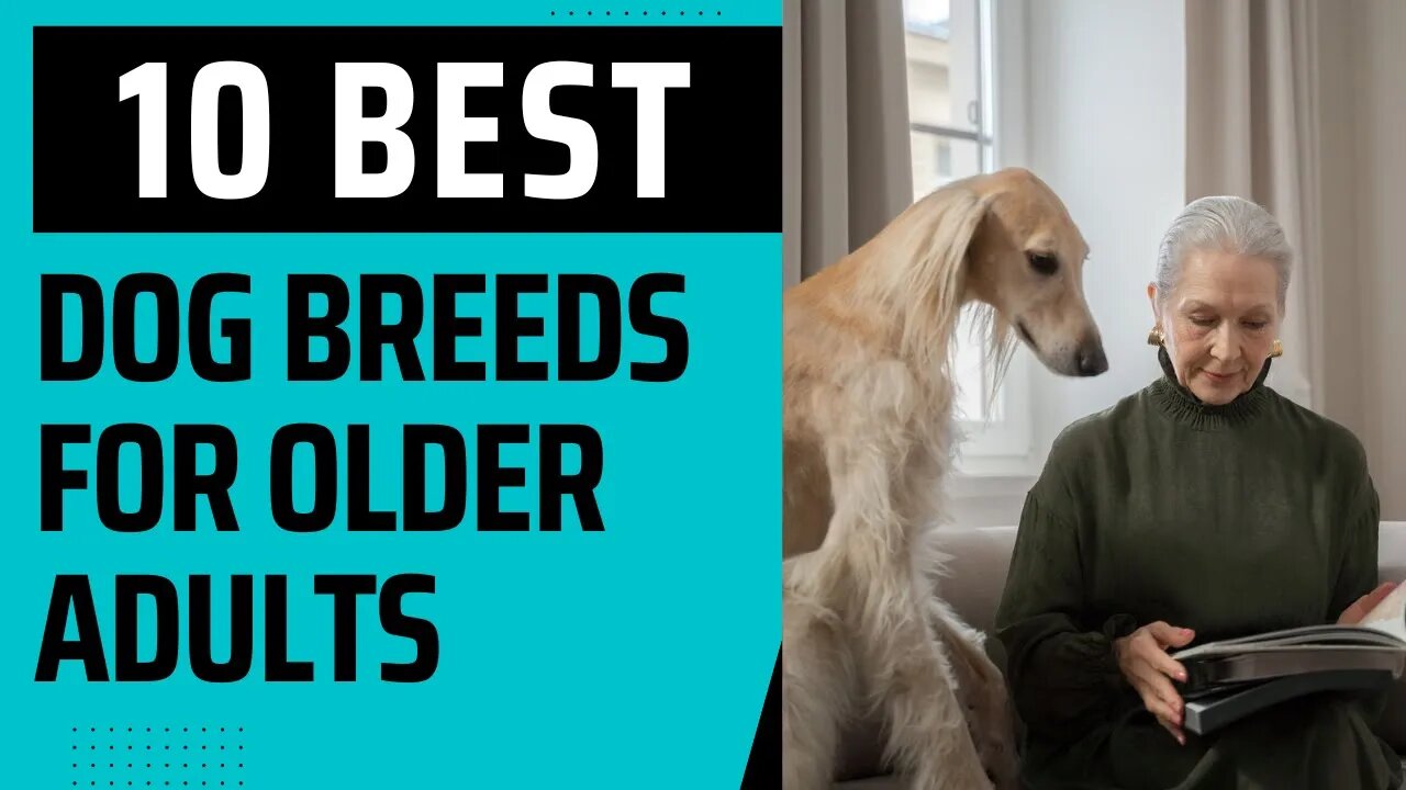 10 Best Breeds for Older Adults.