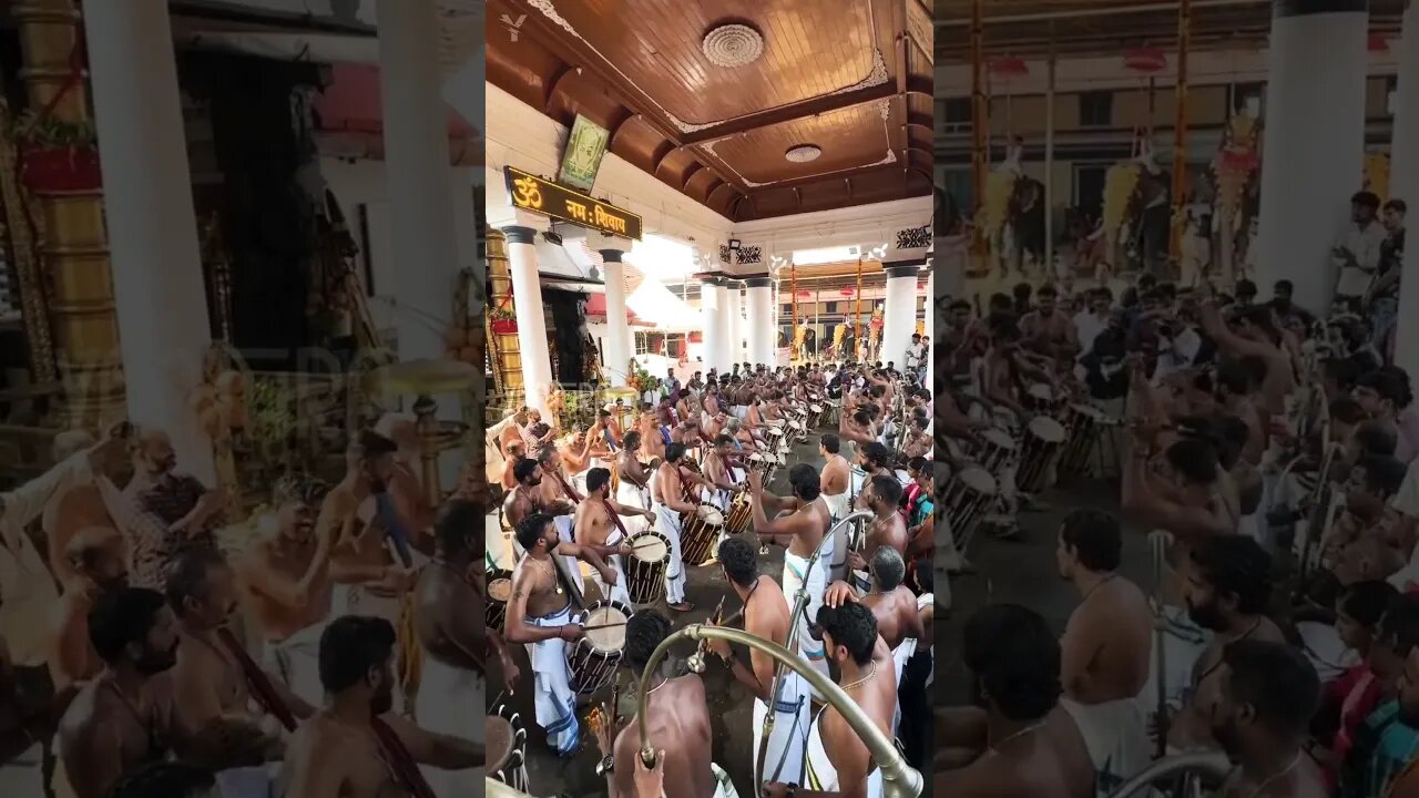 ചെണ്ടമേളം | വൈക്കത്തഷ്ടമി 2023 | Vaikom Mahadeva Temple | വൈക്കം മഹാദേവ ക്ഷേത്രം | #Yaathra | S #195