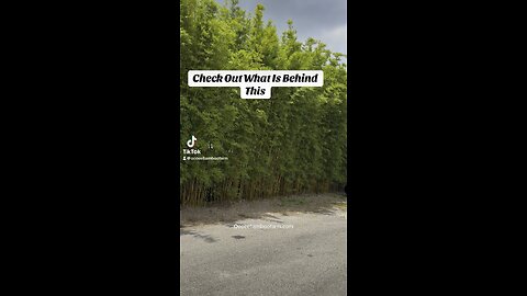 OMG - This Neighbor Stinks - Check out what is behind the green screen