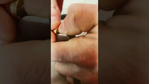 Noisy Cricket