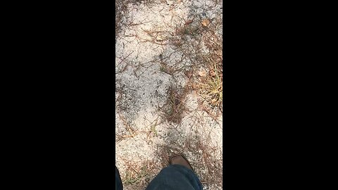 Something is definitely wrong here