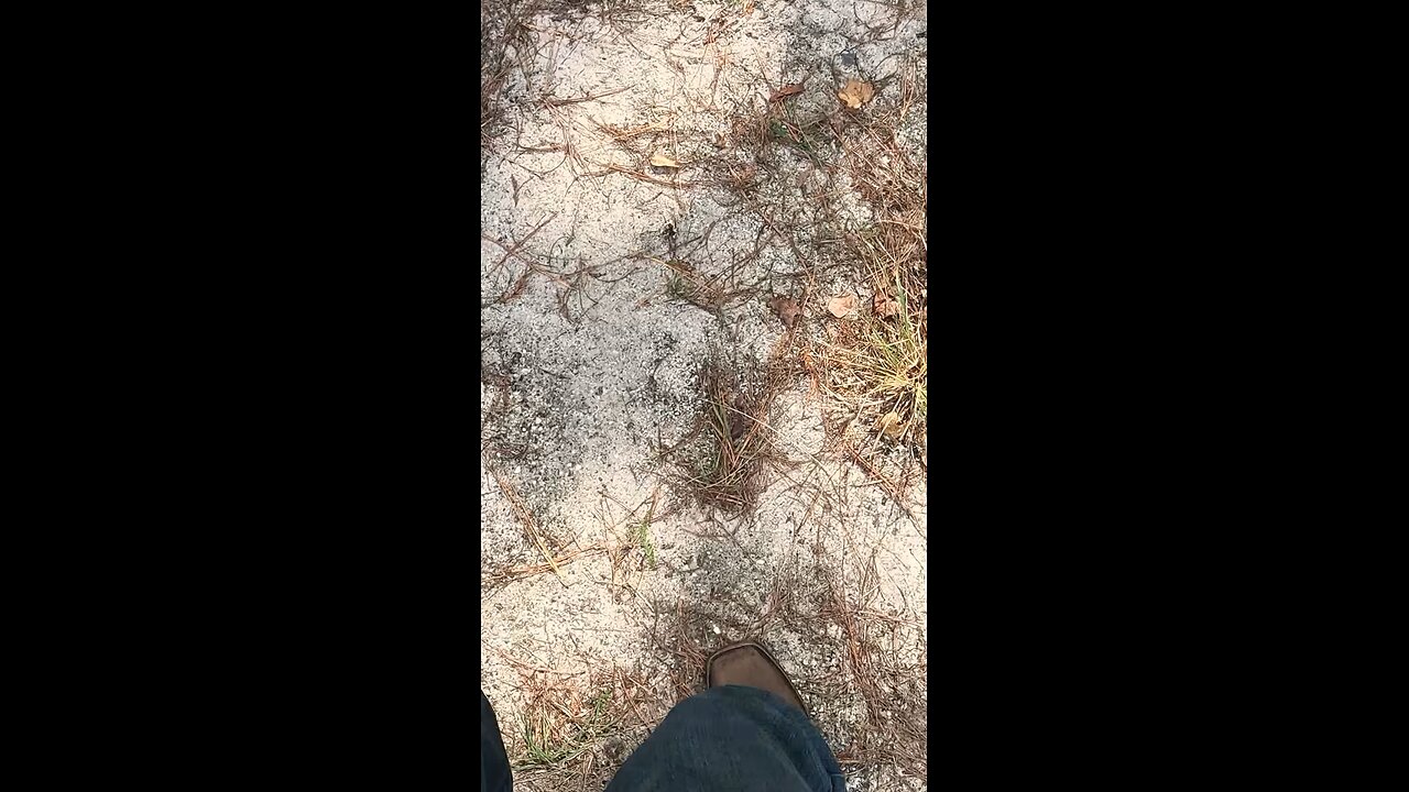 Something is definitely wrong here