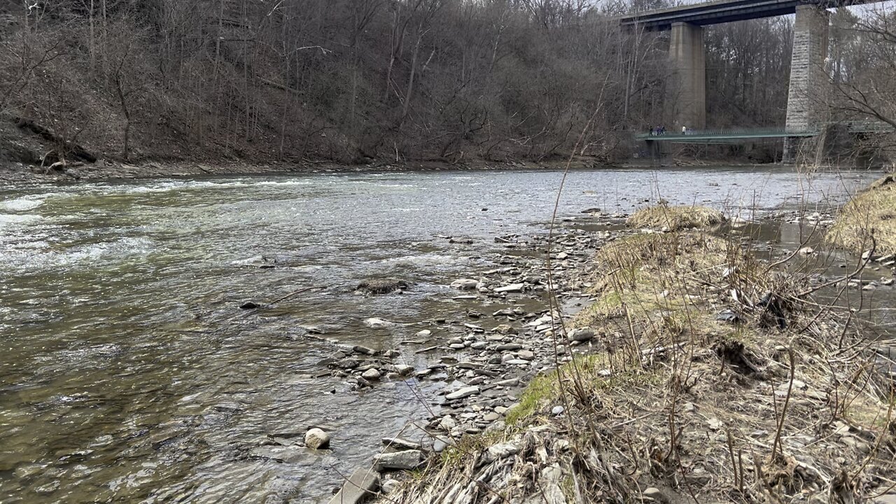 Humber River James Gardens Toronto 2