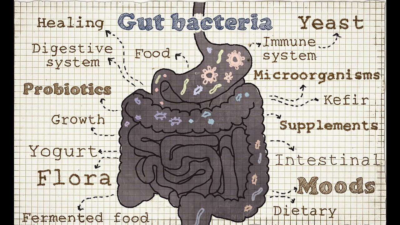 Very Well: Healthy Gut Bacteria