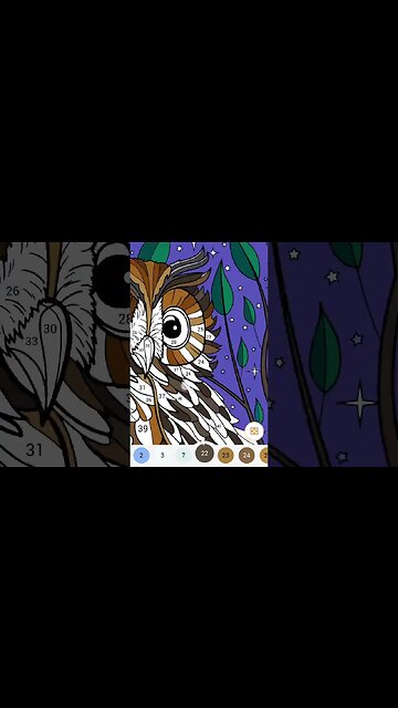 Color by number - 🦉🌟