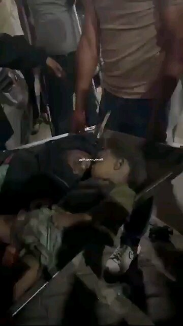 THESE ARE GAZAN BABIES