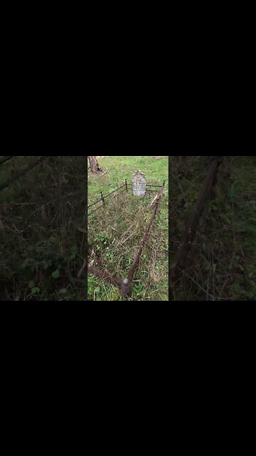 In Loving Memory of Vera: Cherishing the Life of a Precious One-Year-Old (1896)