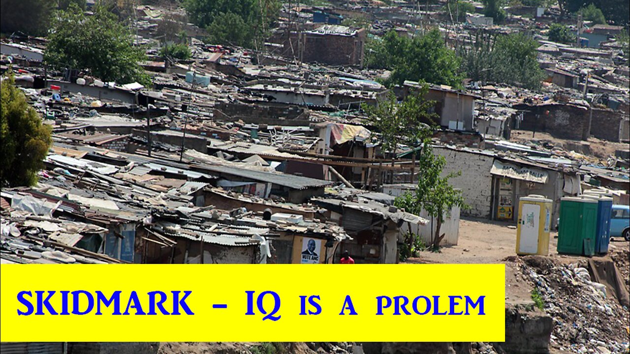 IQ is a problem and reality