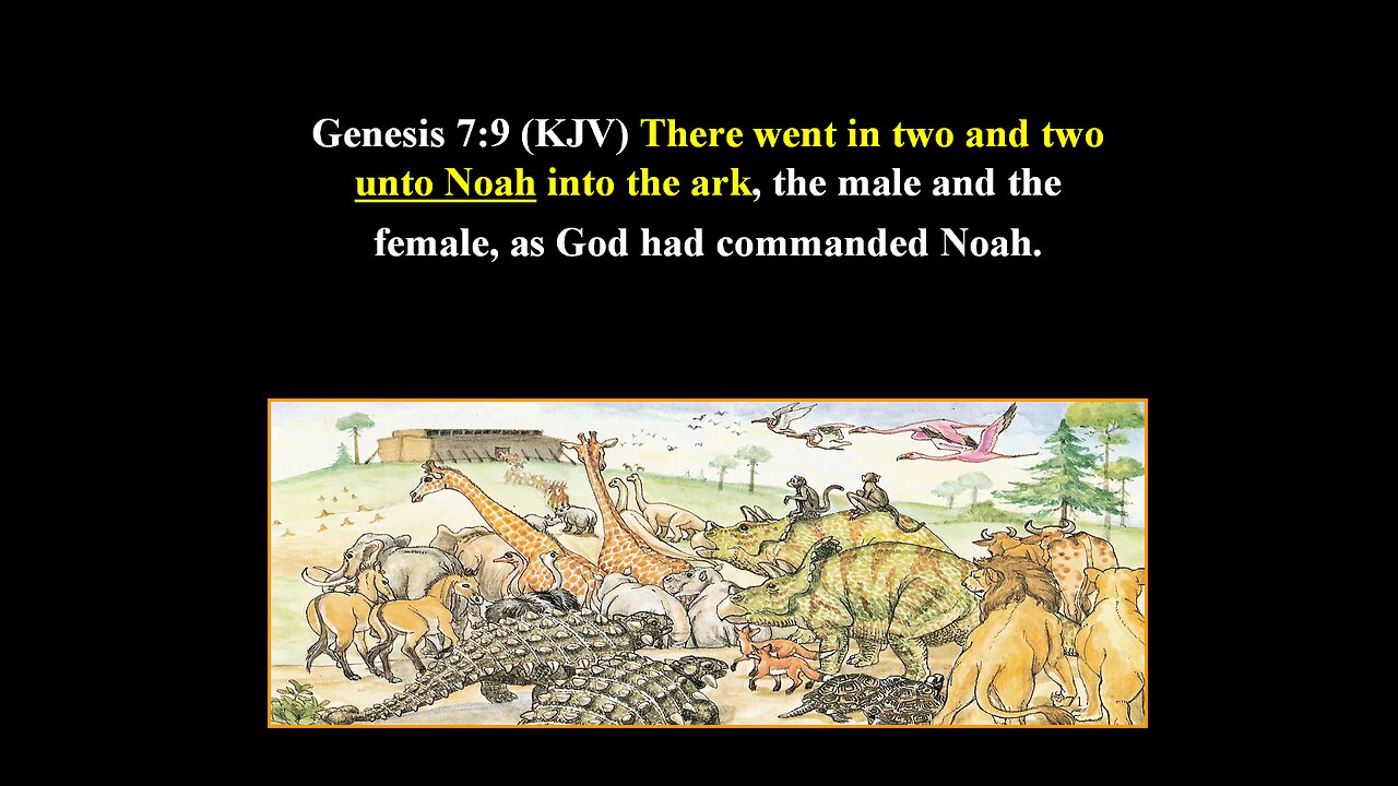 Dinosaurs on The Ark? Part#8