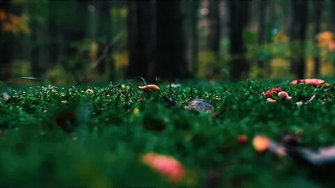 Aries ~ Incoming change and blessing ahead!