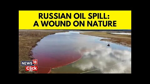 Russian Oil Spill In Black Sea Has Now Got Hundreds Of Volunteers For Cleanup Efforts | N18G