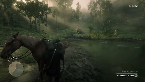 Red Dead Redemption 2 Evil Part 125-The Artist