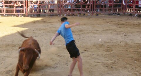 LA ALMEHORA ( TARAZONA ) TARDE VACAS PLAZA ( DOMINGO 10 JULIO 2022 ) HNOS.GANUZA