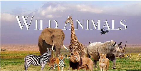 World animals