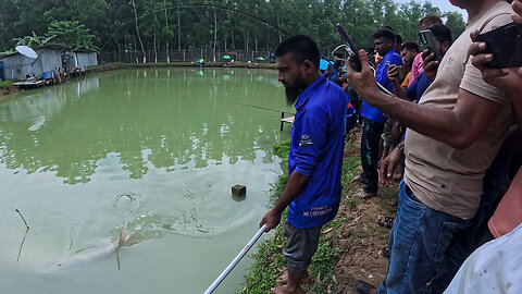 fish catching videos