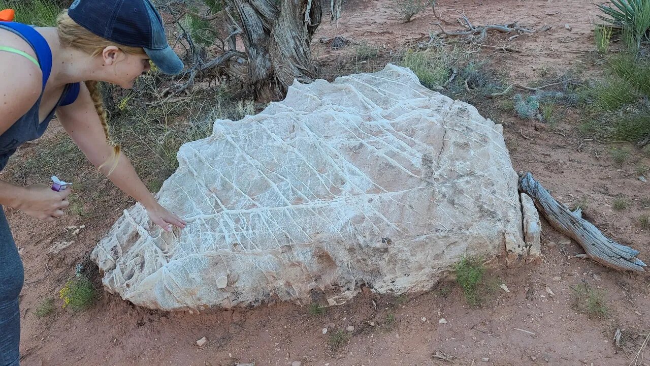 What on Earth is This? Canyon Of The Ancients, strange rock formations