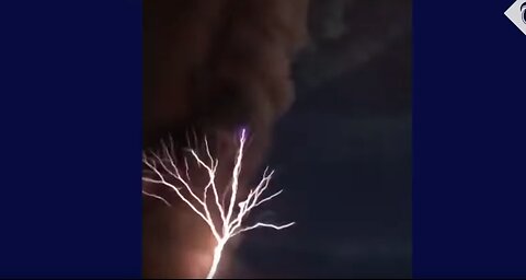 gOd said let there be lightning - the tree of life