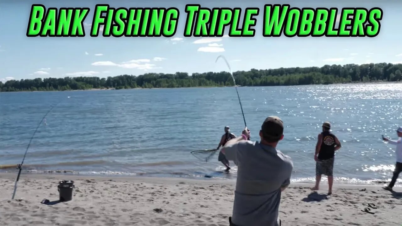 How To Fish 3 Wobblers At Once Bank Fishing Salmon