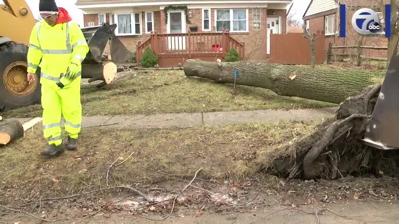 Powerful winds cause damage across WNY