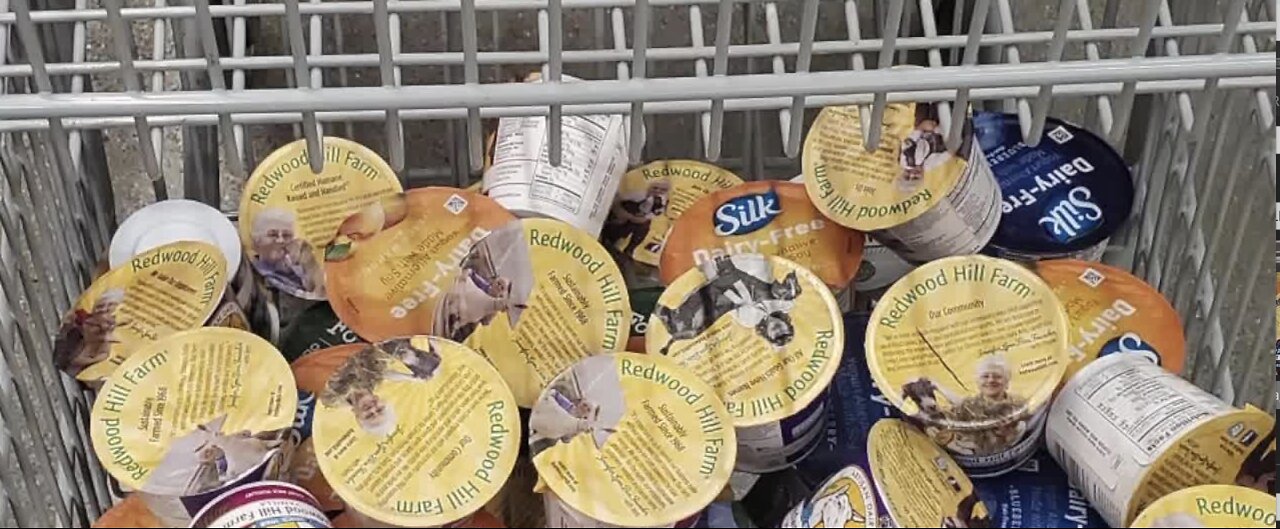 Concerns raised after shopper finds expired yogurt at local store