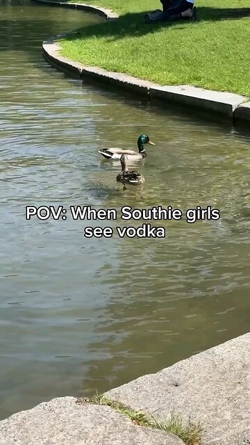 South Boston women 🤣🤣🤣🤣