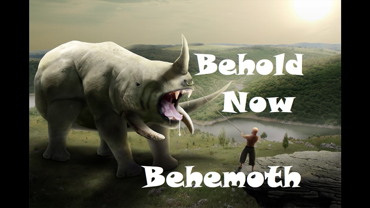 Behold Now Behemoth: Job 39 & 40