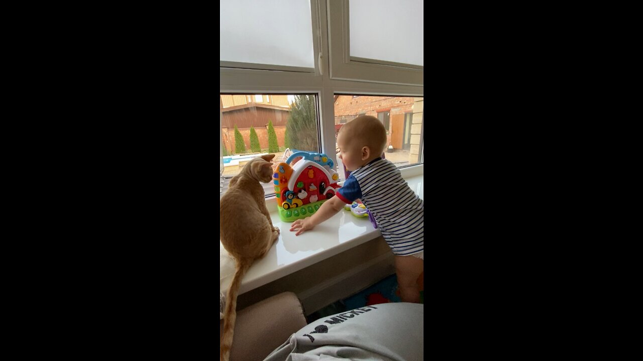 Baby play with cat