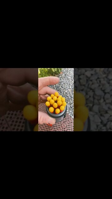 Best matches in the world 🌎?