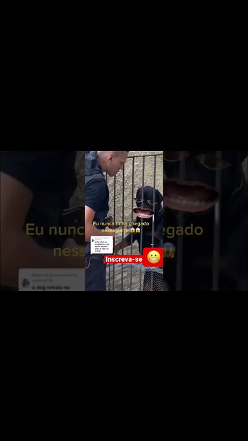 Dog translate kkk desapegado #dog #comics #humor #cachorro #humor •••