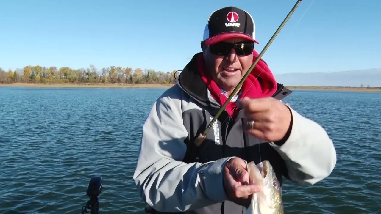 Early Fall Walleye on Leech Lake