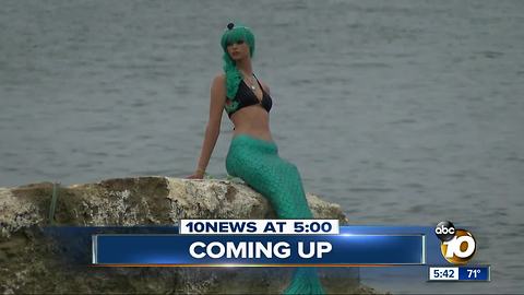 Mermaid vanishes from Sunset Cliffs rock