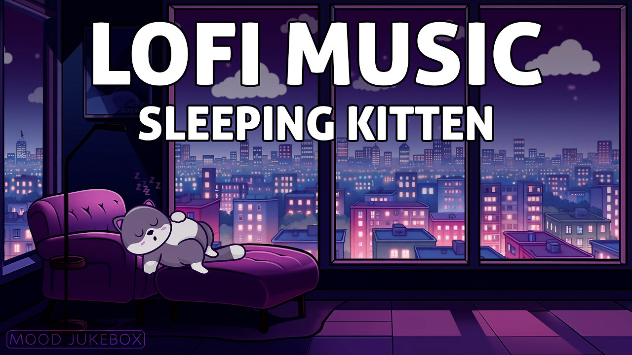 Lofi Music for Study, Read and Work & Sleeping Kitten 😻💤