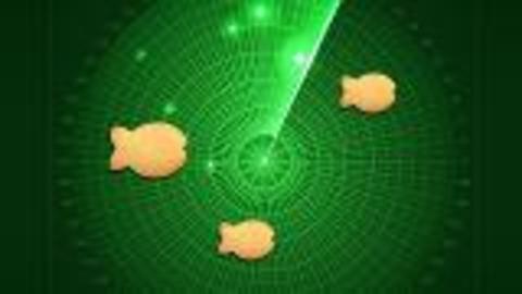Dolphins Inspire New Radar