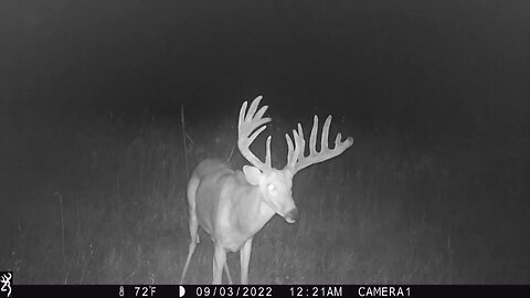 Minerals, trail cameras and BIG BUCKS!