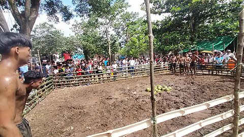 Agawang buko in Philippines