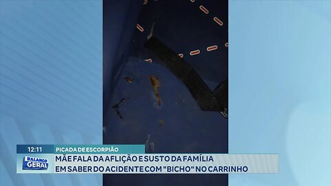 Picada de Escorpião: Mãe Fala da Aflição e Susto da Família em saber do Acidente.