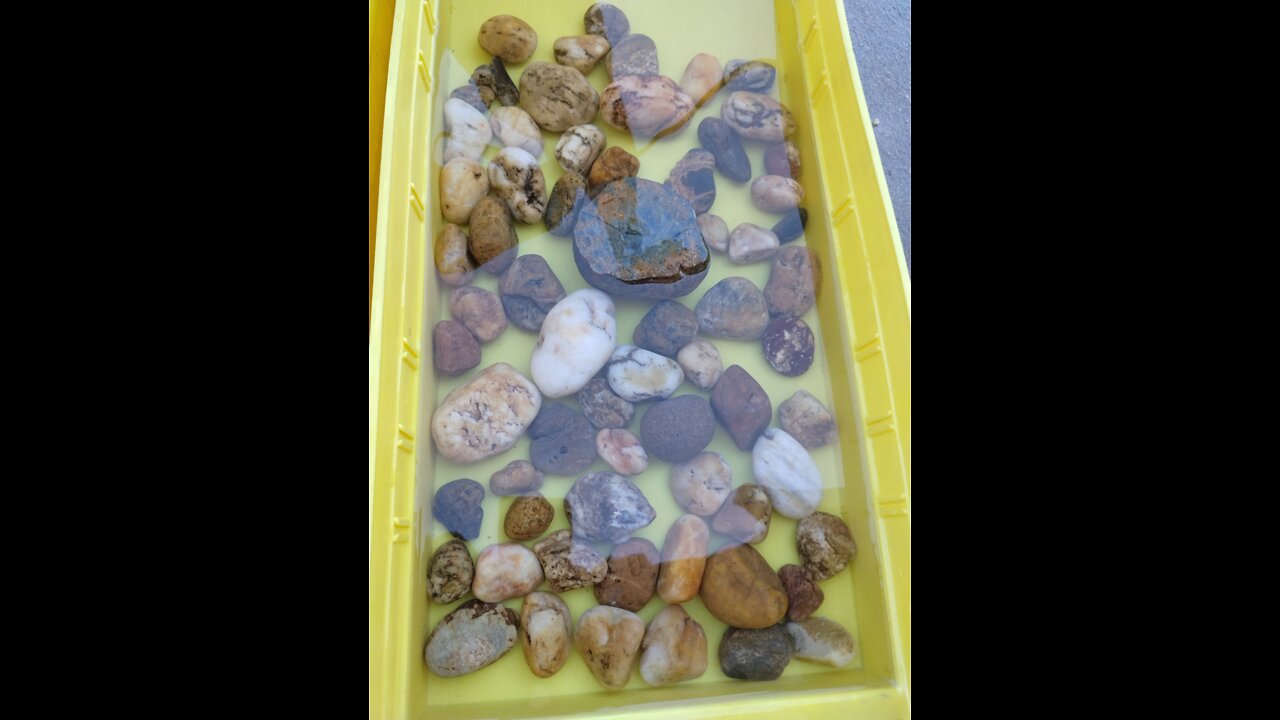 I love rocks and mudfosssils!