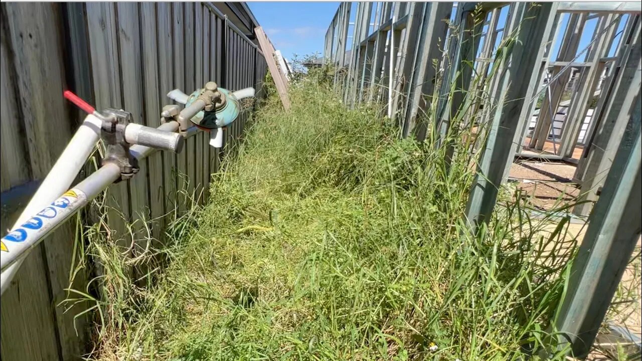 So OVERGROWN they can’t build this house!