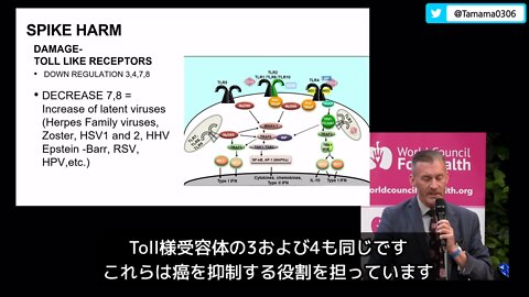 WCFHの講演より、コロワクで変化した免疫系が母マウスから全ての子供に遺伝した話と免疫抑制の仕組み