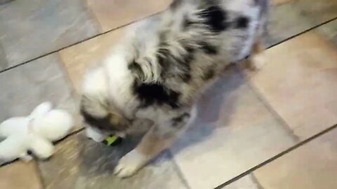 Play time in the kitchen