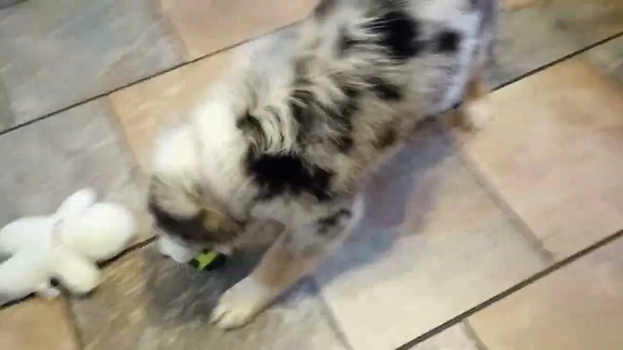 Play time in the kitchen